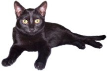 Mandi - Click to see her Pictures Mandi - Click to see her Pictures